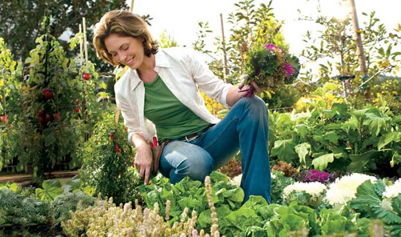 Mulher cultivando hortas e jardins caseiros