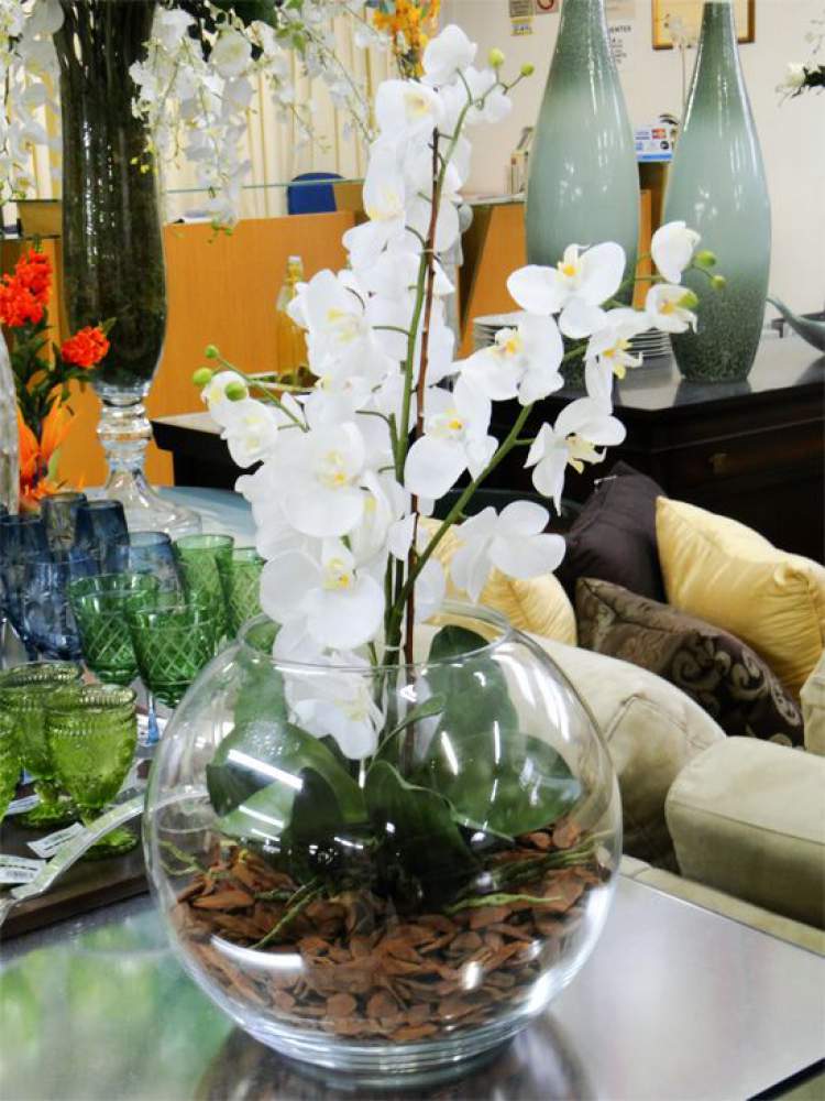 Vaso de flor feito com aquário