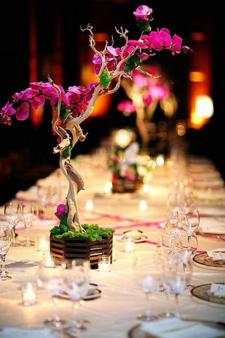 Orquídeas na decoração de casamento