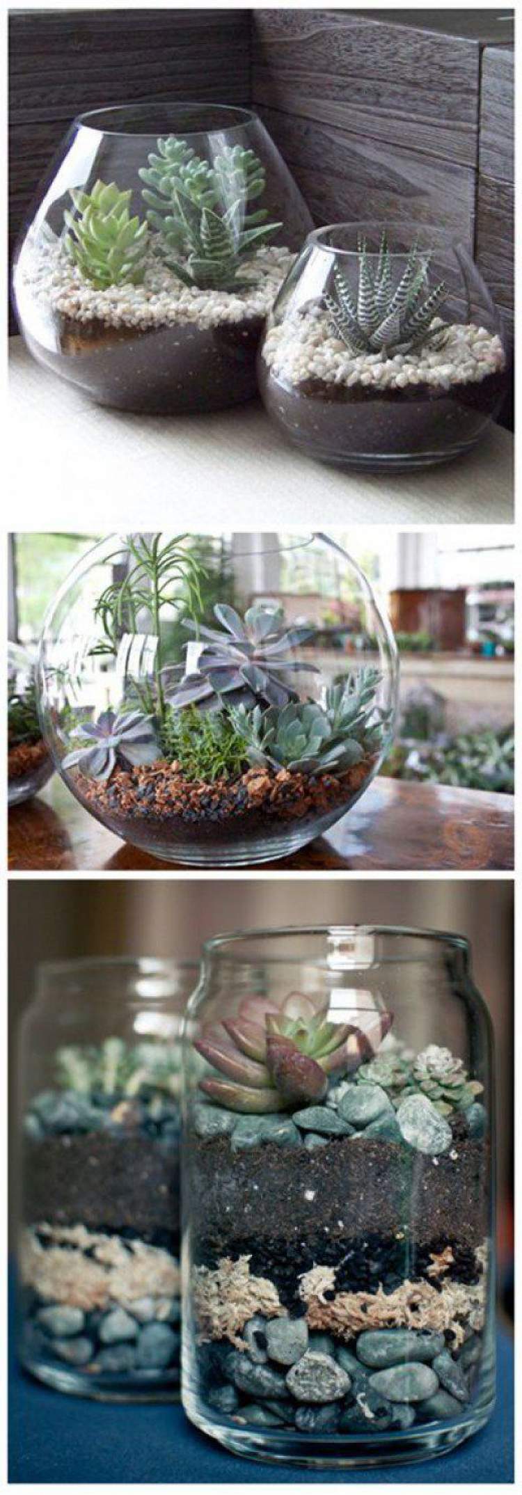 Terrários feitos em aquários ou potes de vidro