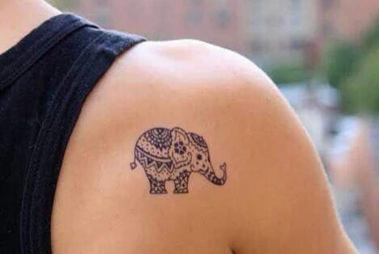 Tatuagem delicada de elefante ao lado do ombro