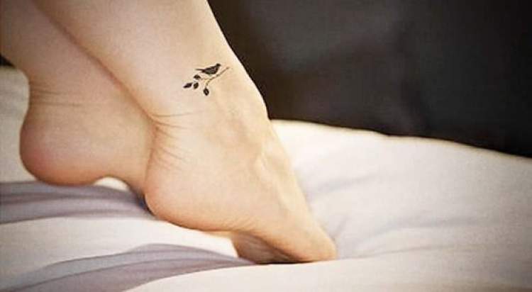 Tatuagem delicada no tornozelo de pássaro com ramo de oliveira