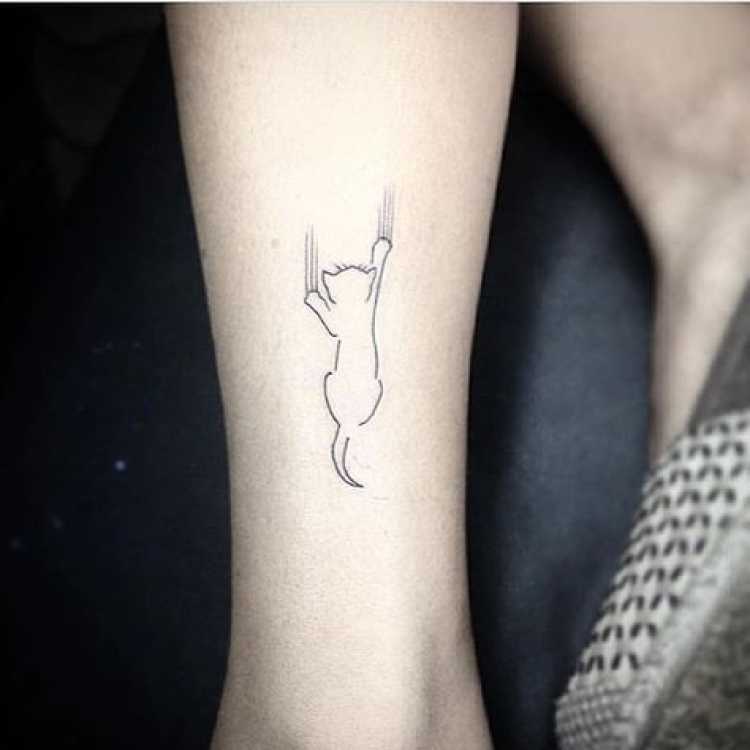 Tatuagem delicada de gato arranhando
