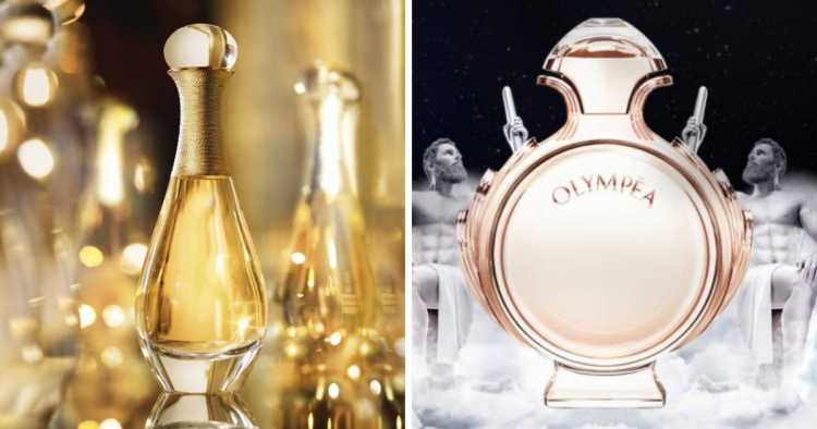 perfumes femininos campeões de elogios