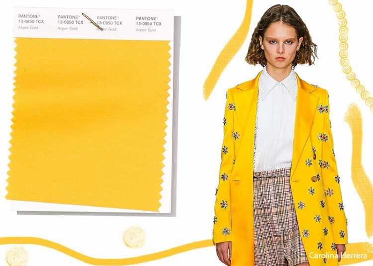 Aspen Gold é uma das cores que são tendências da Pantone 2019